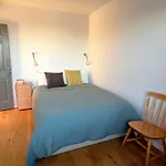 Sunny And Cozy Downtown Apartment
