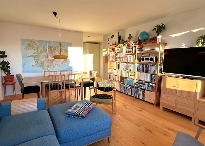 Sunny And Cozy Downtown Apartment